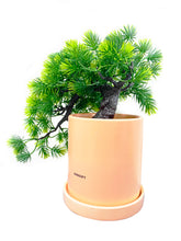 Load image into Gallery viewer, AHMGIFT Fake Plants Artificial Bonsai Tree Desk Plants for Bathroom Bookshelf Kitchen Room Decor
