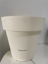 Load image into Gallery viewer, Gdrasuya10 Flower pots Plastic Planters, Plastic Indoor Planter Flower Pots, Heavy Duty and Stylish 6 Inch Plant Pots for Indoor Plants with Drainage Holes and Tray for Plants, Flowers, White

