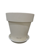 Load image into Gallery viewer, BANLICALI Flower pots Plastic Planters, Plastic Indoor Planter Flower Pots, Heavy Duty and Stylish 6 Inch Plant Pots for Indoor Plants with Drainage Holes and Tray for Plants, Flowers,White
