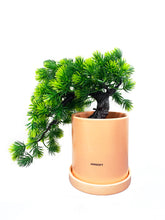 Load image into Gallery viewer, AHMGIFT Fake Plants Artificial Bonsai Tree Desk Plants for Bathroom Bookshelf Kitchen Room Decor
