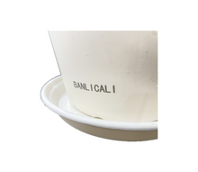 Load image into Gallery viewer, BANLICALI Flower pots Plastic Planters, Plastic Indoor Planter Flower Pots, Heavy Duty and Stylish 6 Inch Plant Pots for Indoor Plants with Drainage Holes and Tray for Plants, Flowers,White
