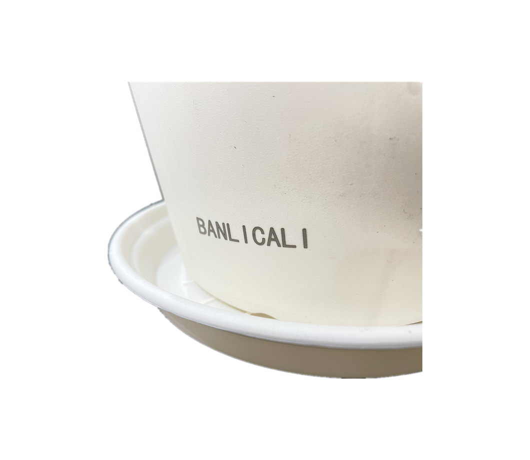 BANLICALI Flower pots Plastic Planters, Plastic Indoor Planter Flower Pots, Heavy Duty and Stylish 6 Inch Plant Pots for Indoor Plants with Drainage Holes and Tray for Plants, Flowers,White